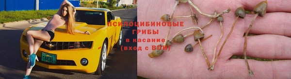 прущая мука Бронницы