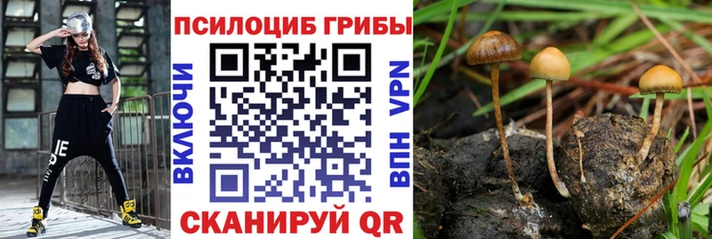 Галлюциногенные грибы мицелий  сколько стоит  Мостовской 